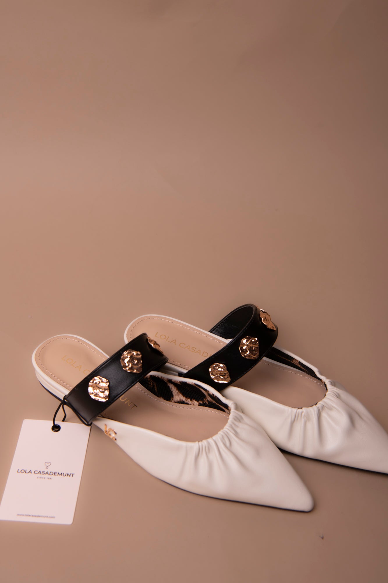 Flat Shoe with Elastic and Metallic Appliques