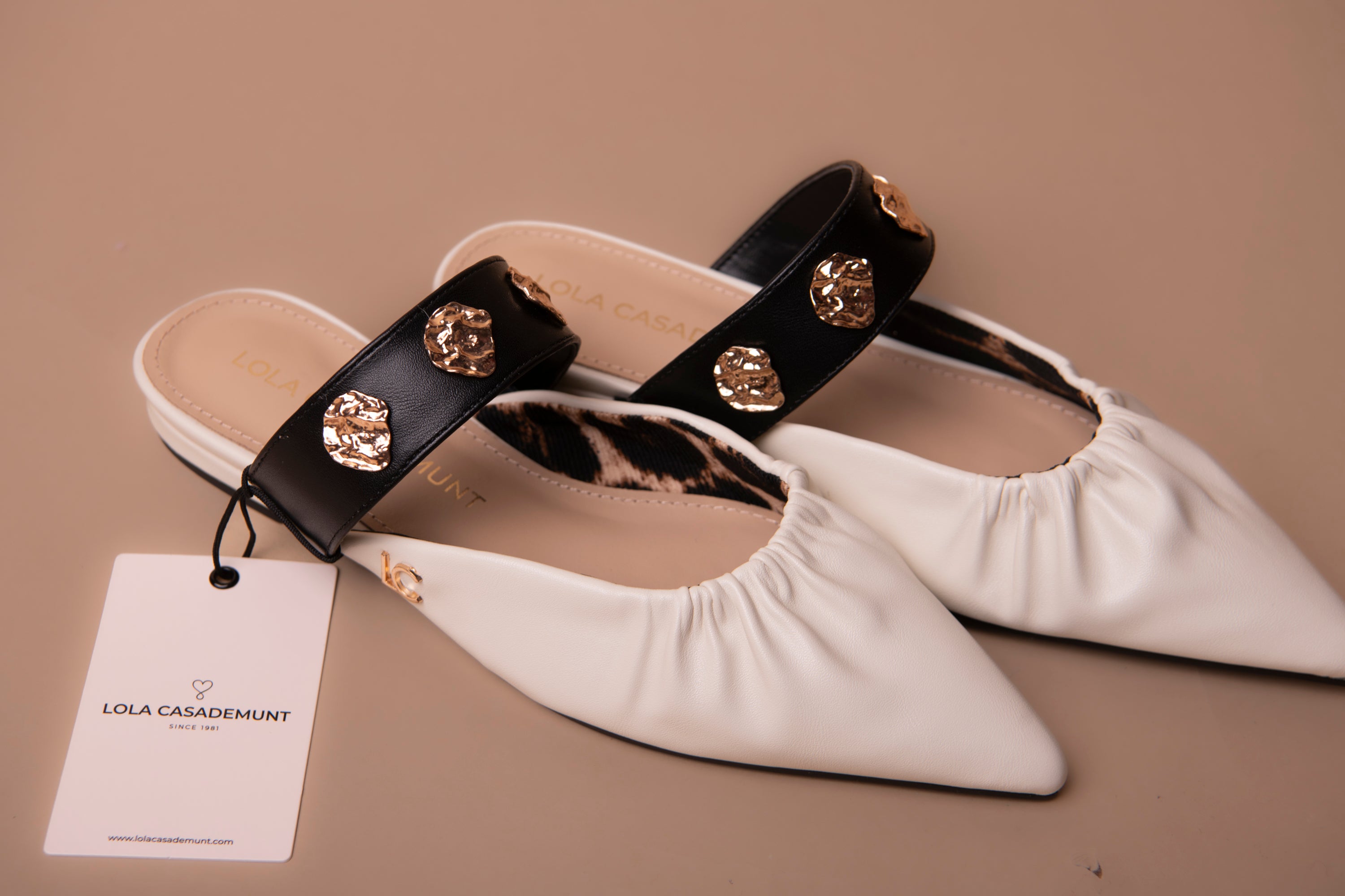 Flat Shoe with Elastic and Metallic Appliques