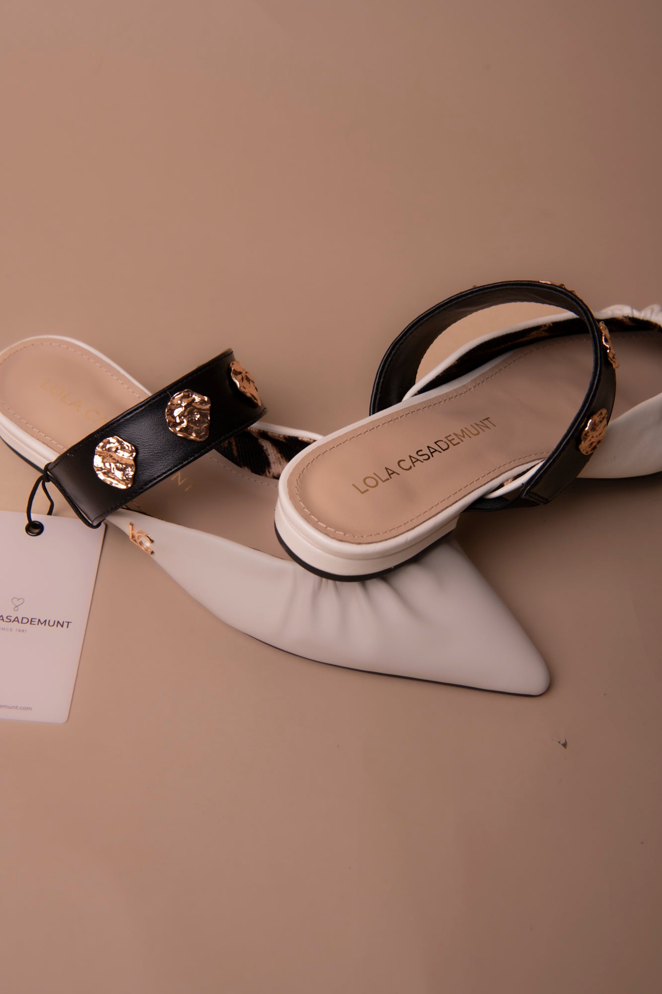 Flat Shoe with Elastic and Metallic Appliques
