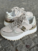 SAPATILHAS CAVALLI