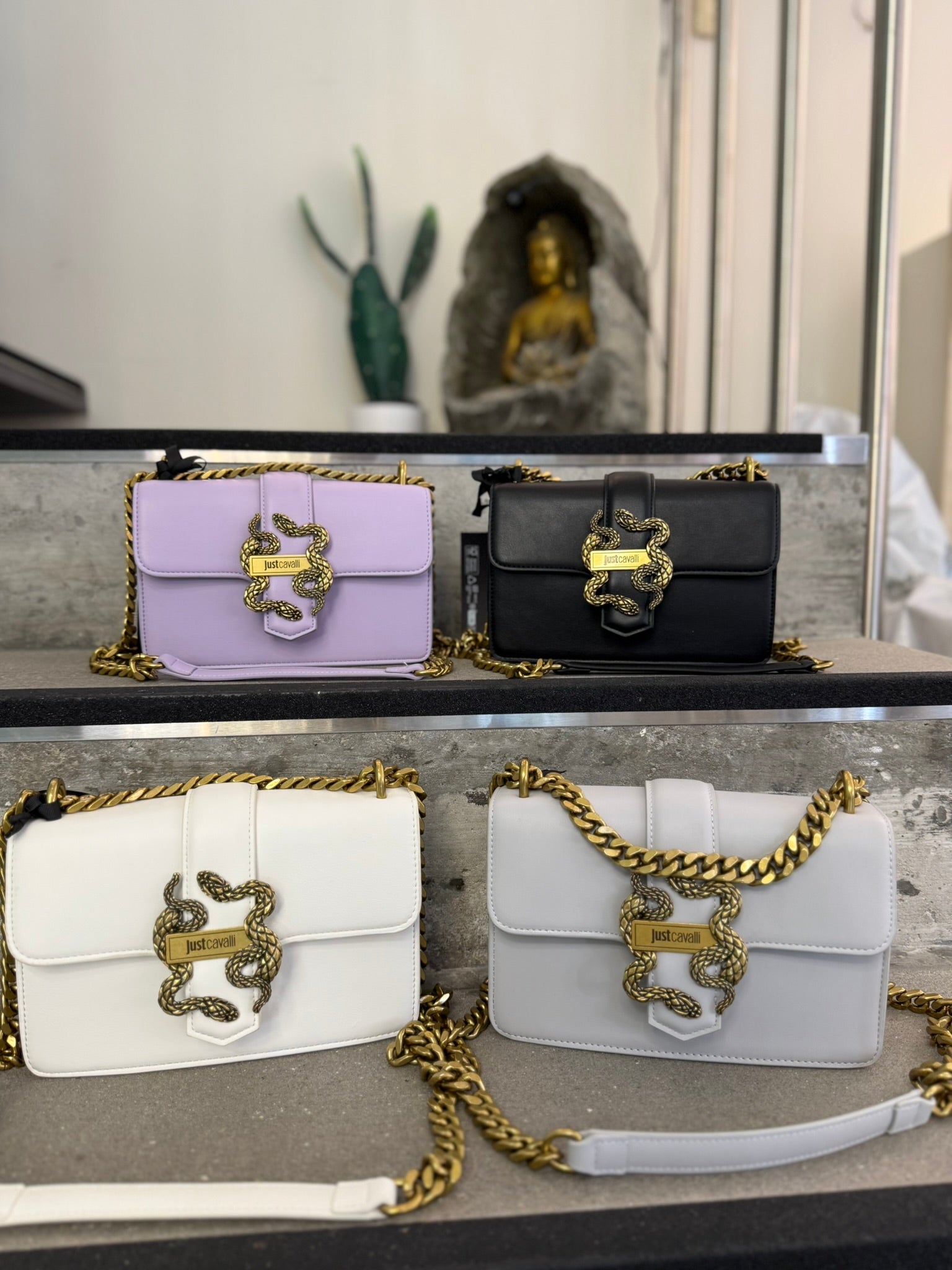 CARTEIRA JUST CAVALLI